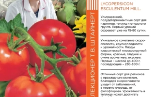 Счастья Полна Чаша