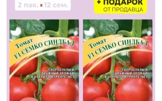 Семко Синдбад