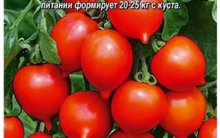 Пакет семян томата Сеньор с изображением красных плодов