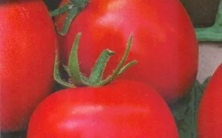 Пакет семян томата СЕРДЦЕЕД с изображением красных плодов