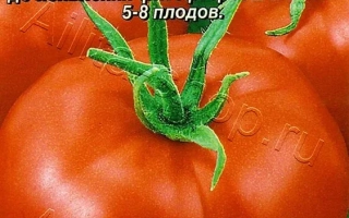 Пакет семян томата СЕВЕРЁНОК F1 с изображением спелого томата - СЕВЕРЕНОК