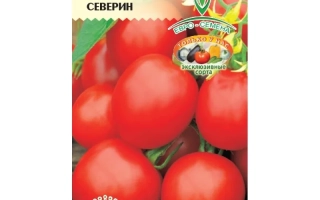Пакет семян томата Северин с изображением красных плодов