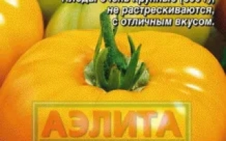 Сяюча Куля