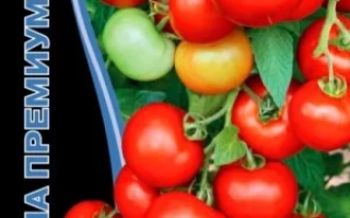 Сибирская Гирлянда