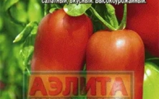 Сибирский Казак