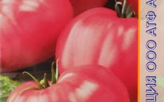 Сибирский Розовоплодный