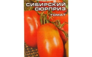 Сибирский Сюрприз