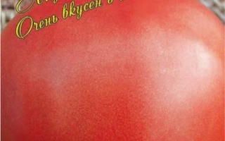 Пакет семян томата Сибирский великан