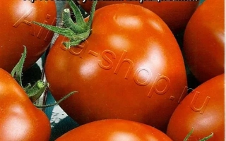 Пакет семян томата Сибирское чудо