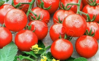 Сладкая Семейка