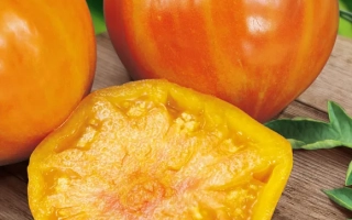 Сладкий Янтарь