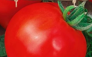 Сладкое Сердечко