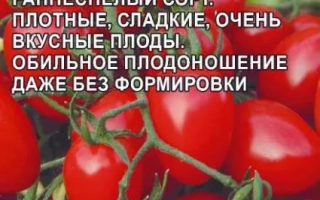 Сливка Красная