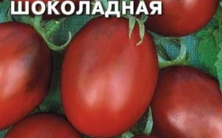 Сливка Шоколадная