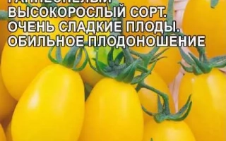 Сливка Желтая