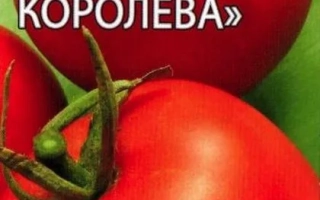 Пакет семян томата «Снежная Королева»