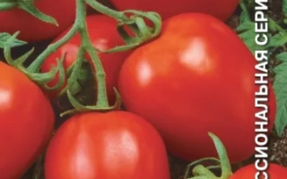 Пакет семян томата сорта Софья с изображением красных плодов