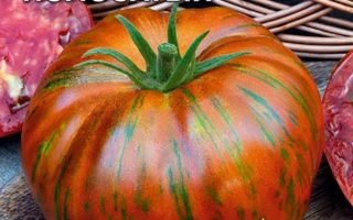 Шоколадный Полосатый