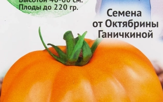 Солнце Панчева