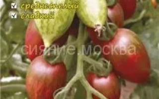 Сосулька Шоколадная