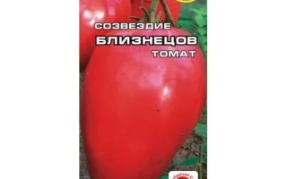 СУЗІР'Я БЛИЗНЮКИ