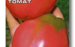 СУЗІР’Я РАКА