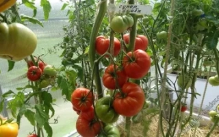 Супербомба