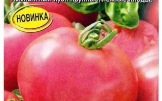 Тамбовский Волк