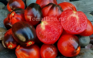 Темный Лорд