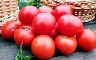 Красные томаты ТОПТЫЖКА на деревянной поверхности с корзиной на заднем плане