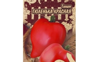 Тюленька Красная