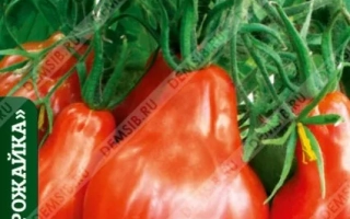 Пакет семян томата ТурандоТ с изображением красных плодов