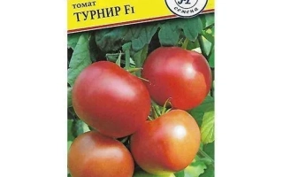Турнир