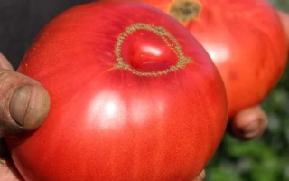 Украинский