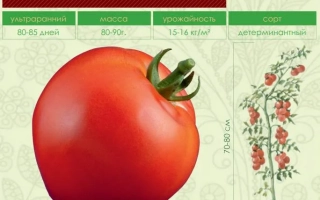 Пакет семян томата ЮРАНДО F1 с изображением плода и растения