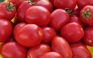 Красные томаты в желтой корзине - УСТИНЬЯ