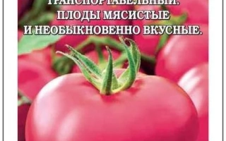 Пакет семян томата ВАНО с изображением красных плодов