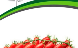 Ваше Благородие