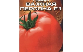 Пакет семян томата «Важная Персона F1» от Сибирский Сад