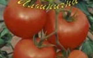 ВДОХНОВЕНИЕ F1