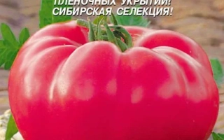 Пакет семян томата Вельможа с изображением красного помидора