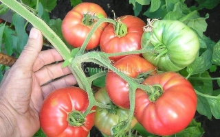 Великий Воин