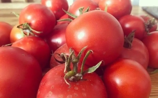 Верейский Красный