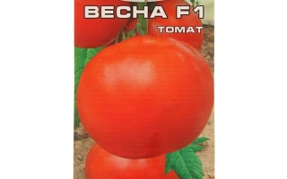 Пакет семян томата BECHA F1 - ВЕСНА