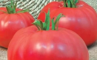 Весна Севера