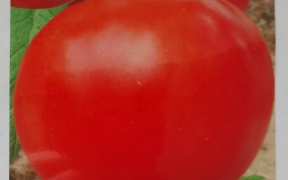 Весняний F1 (для закритого грунту)