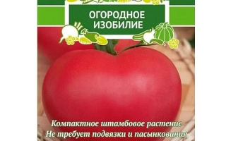 Волгоградские Зори