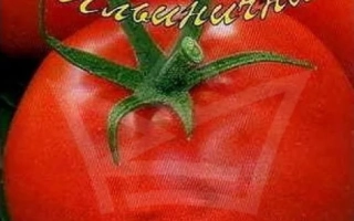 Вологда Град