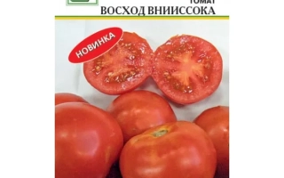 Восход Внииссока