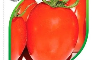 Восторженный